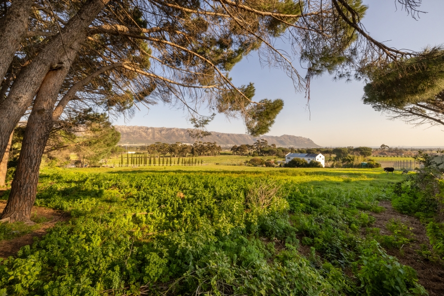 0 Bedroom Property for Sale in Somerset West Rural Western Cape